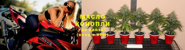 эйфоретик Михайлов